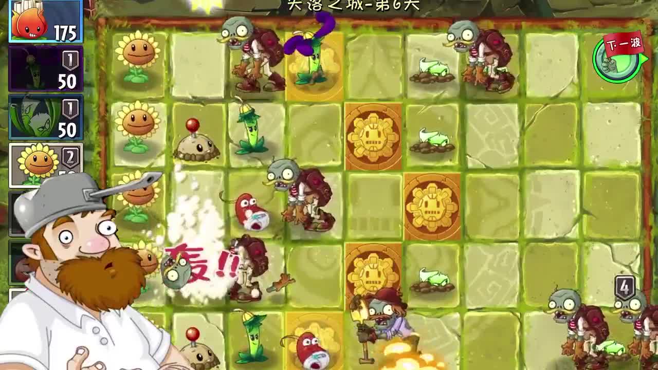 植物大战僵尸：巴豆加芹菜等于天作之合！