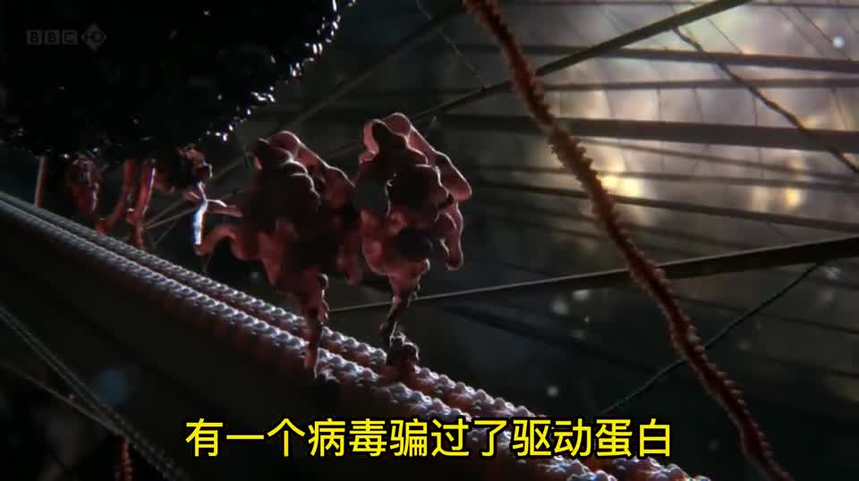 免疫系统与病毒间的战斗更像是一场斗智斗勇的猫鼠游戏