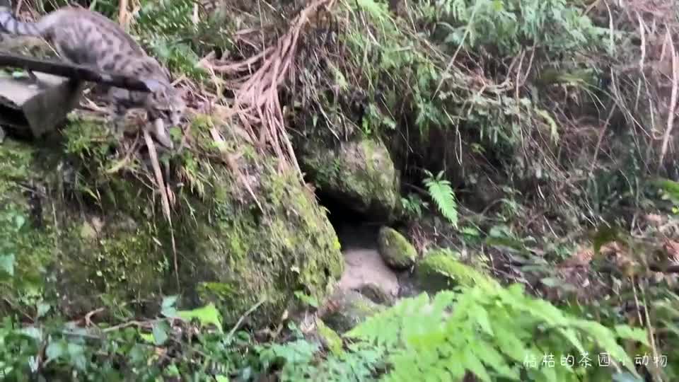 跟着走别掉队噢