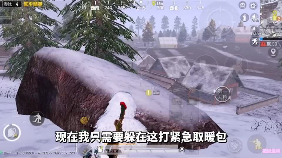 决赛圈用无人机疯狂挑衅敌人，贴脸嘲讽他，结果皮过头被制裁了！
