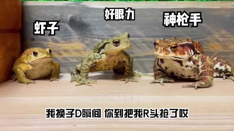 你有没有遇到过这种队友