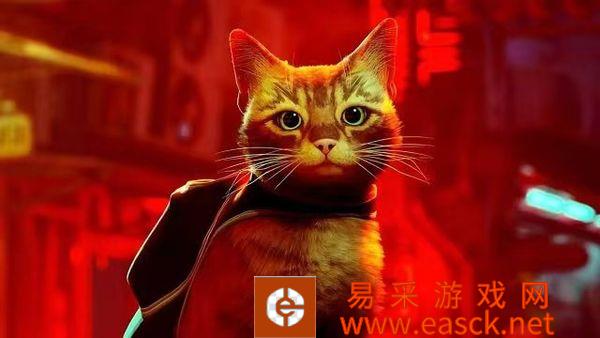 /review/2022/08-01/53363.shtml