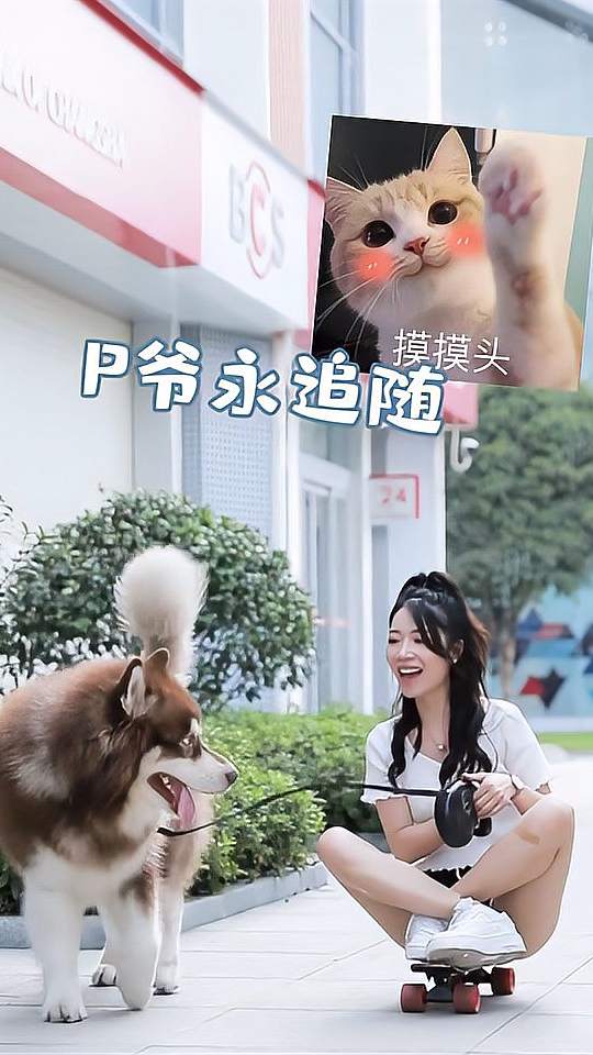 你们说p爷还能干点啥？