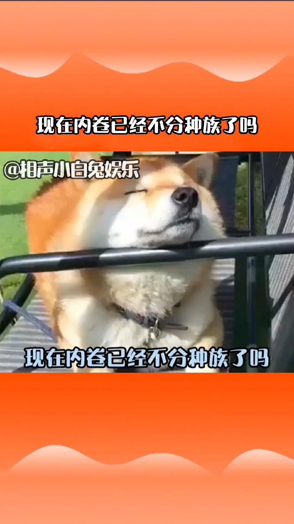 现在内卷已经不分种族了吗？