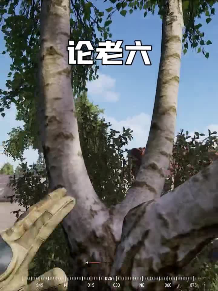 歪果玩家：这棵树上有脏东西steam游戏王站长wzgz战术小队
