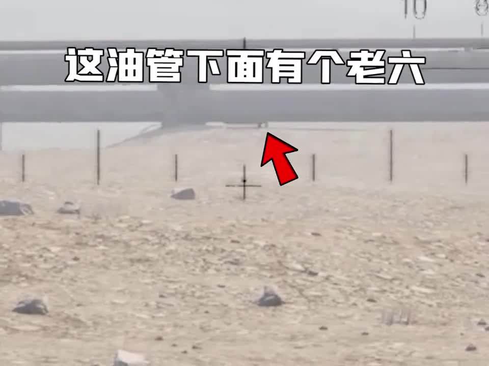 如何在外服给老外留下不可抹去的心理阴影战术小队王站长wzgzsteam游戏