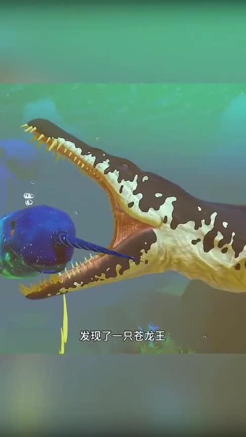 【海底大猎杀】你们见过坦克鱼吗