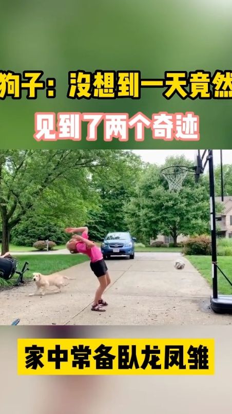 狗子：没想到一天竟然见到了两个奇迹！家中常备卧龙凤雏