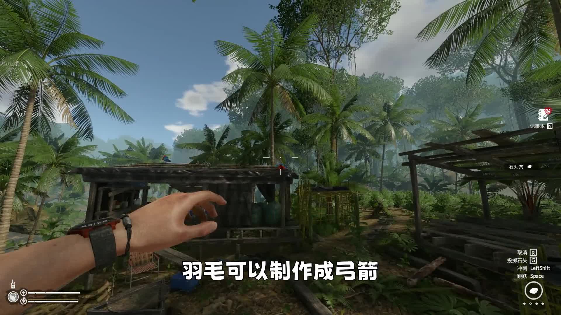 绿色地狱05：削尖竹子制作成竹矛 狩猎在河边散步的大黑猪