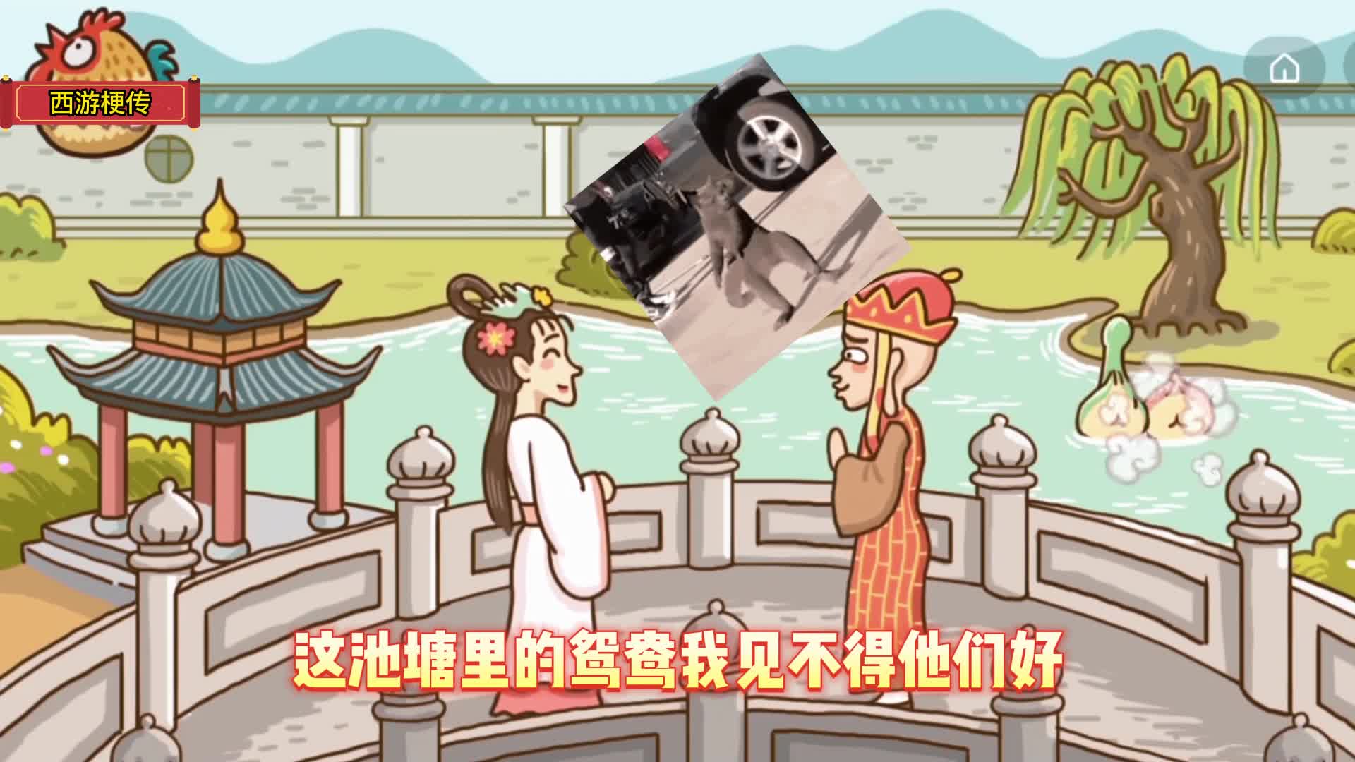 搞笑带梗娱乐小游戏，脑洞大开万万没想到的手游！