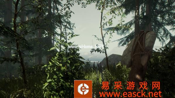 逃生游戏《The Forest》开启限时优惠 售价17.5元