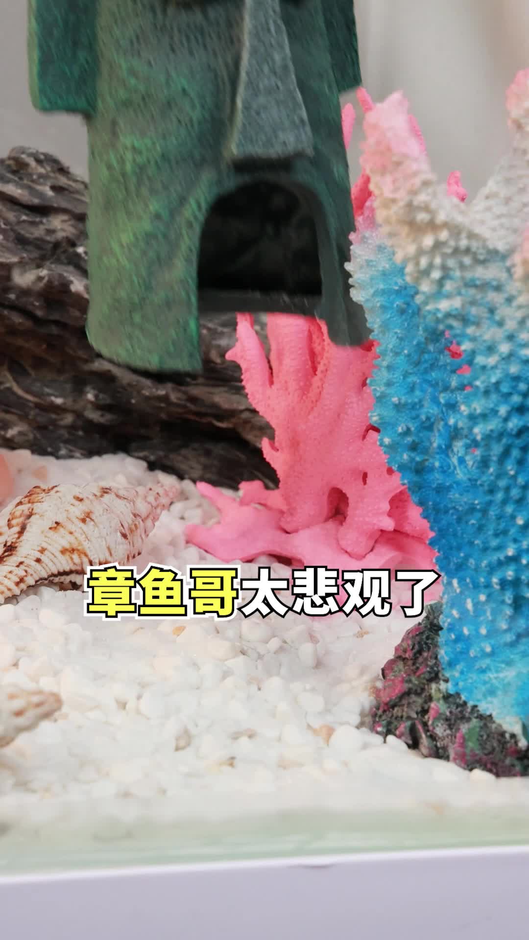 欢迎来到我的世界