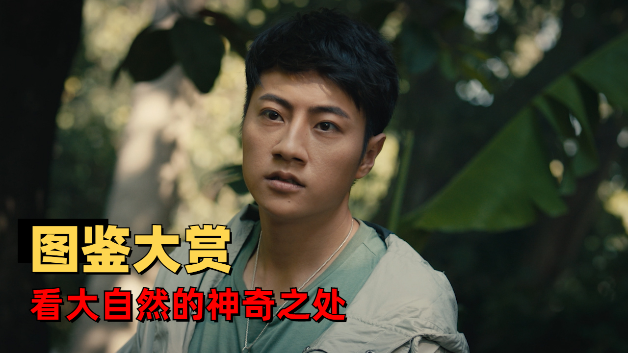大脚怪2：动植物图鉴大赏即将来袭！请各方抓紧时间做好准备