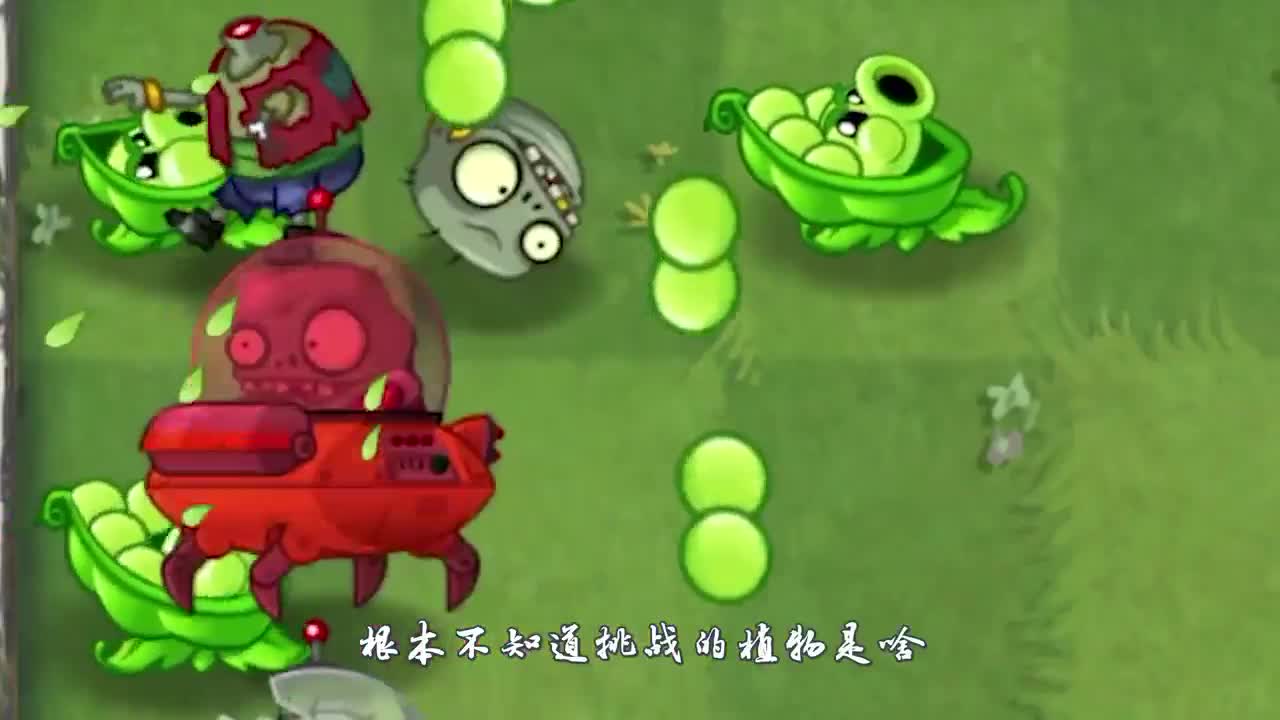 植物大战僵尸：宝藏植物！可以把植物升到满级？！