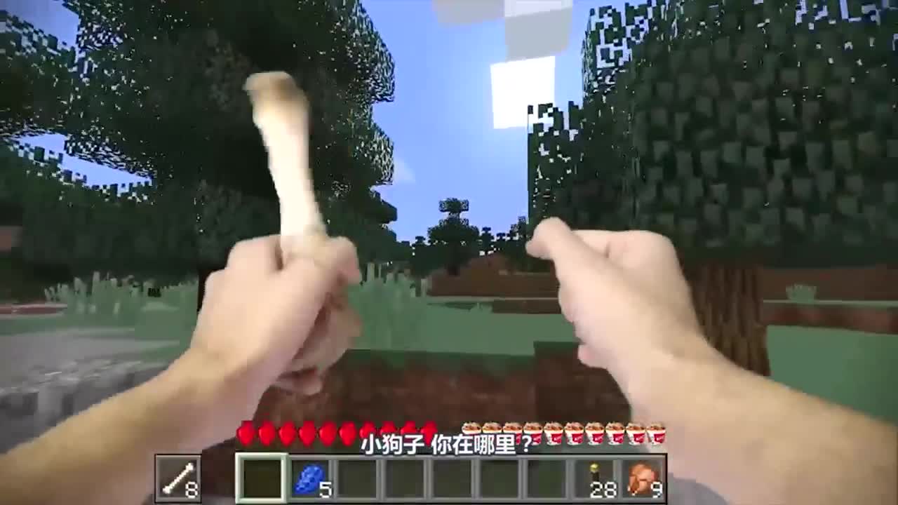 我的世界真人版：喜获爱犬！不过这剧情走向好像有点不对呀