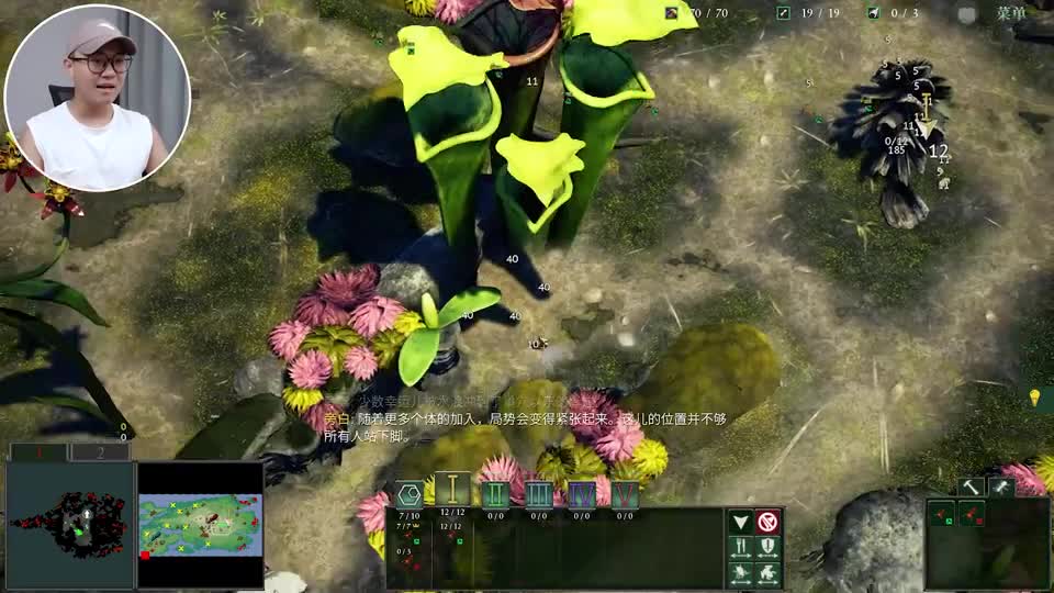 地下蚁国：红火蚁大战蓝蜻蜓，我让你插翅难飞！