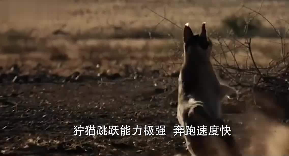 三打一还被反杀，网友：你们会不会玩？