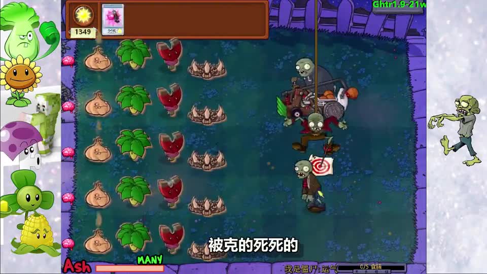 植物大战僵尸：运气大挑战！扮猪吃老虎的阵容！