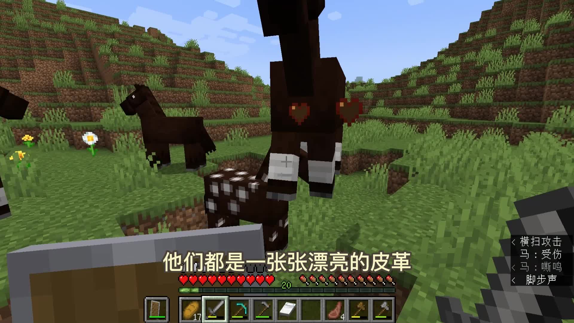 我的世界1.19联机4：老帅要做附魔台，需要大量的皮革，真费肝！#我的世界#沙盒游戏