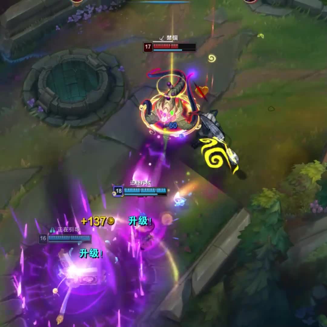 峡谷新物种：提猫