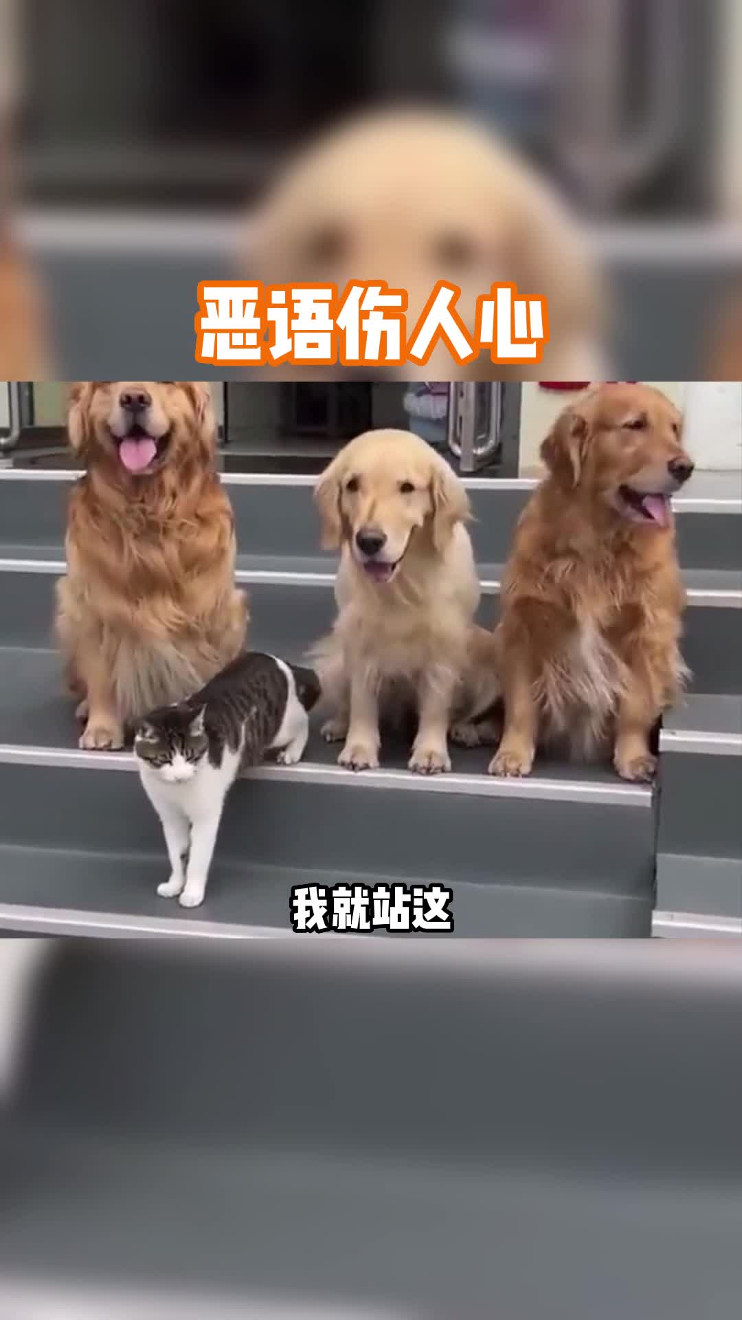 没有录像，我都不相信会这样！