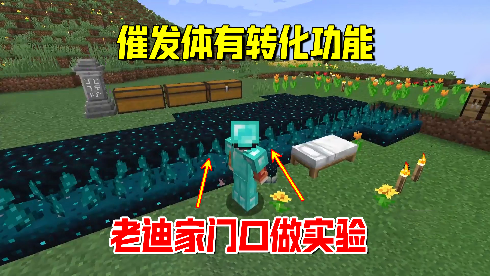 我的世界1.19联机11：催发体有转化功能，我将三类方块种在出生点#我的世界#沙盒游戏