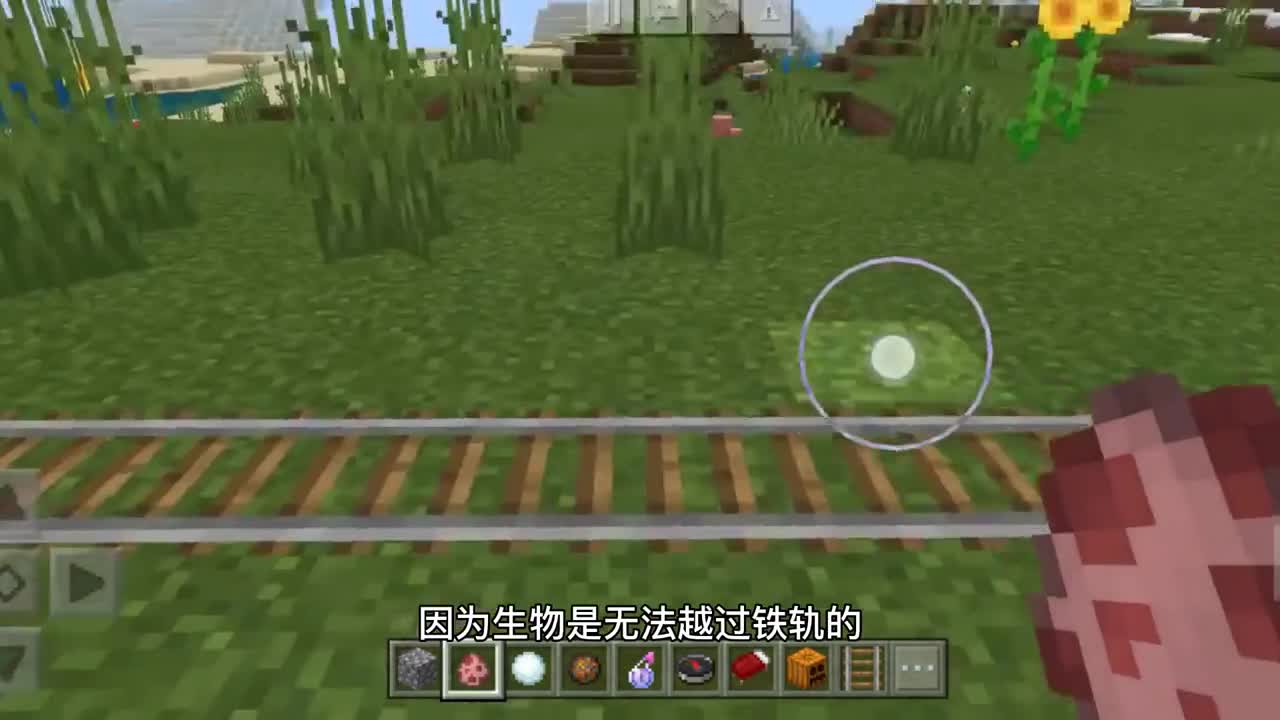 我的世界，老玩家都知道的冷知识。原来这么简单