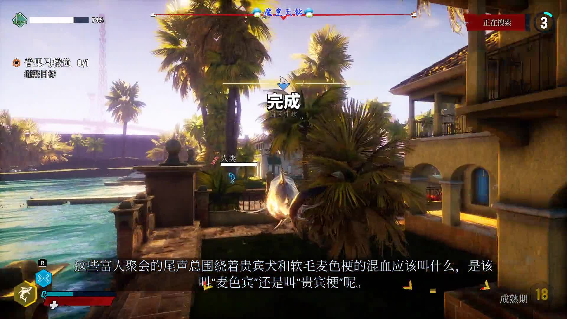 天铭 食人鲨 16 四级悬赏：柯蒂斯！