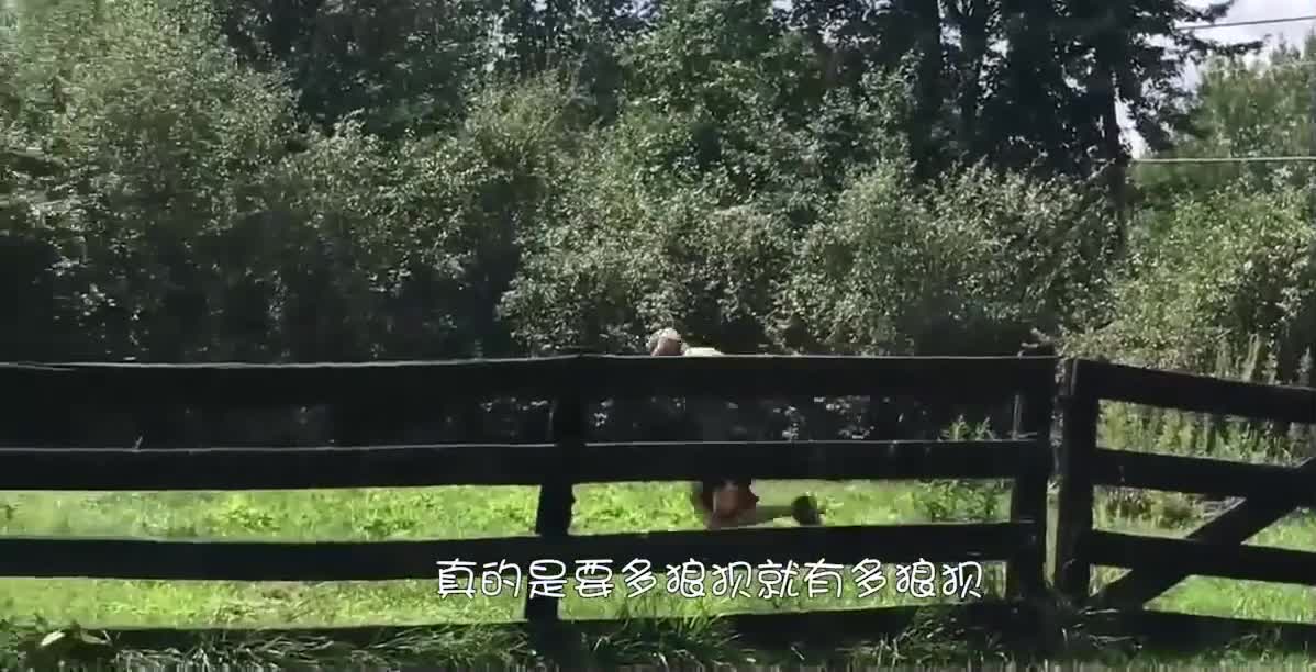 被称为勇敢者的游戏，看谁能坚持到最后，完全是用生命作死呀！