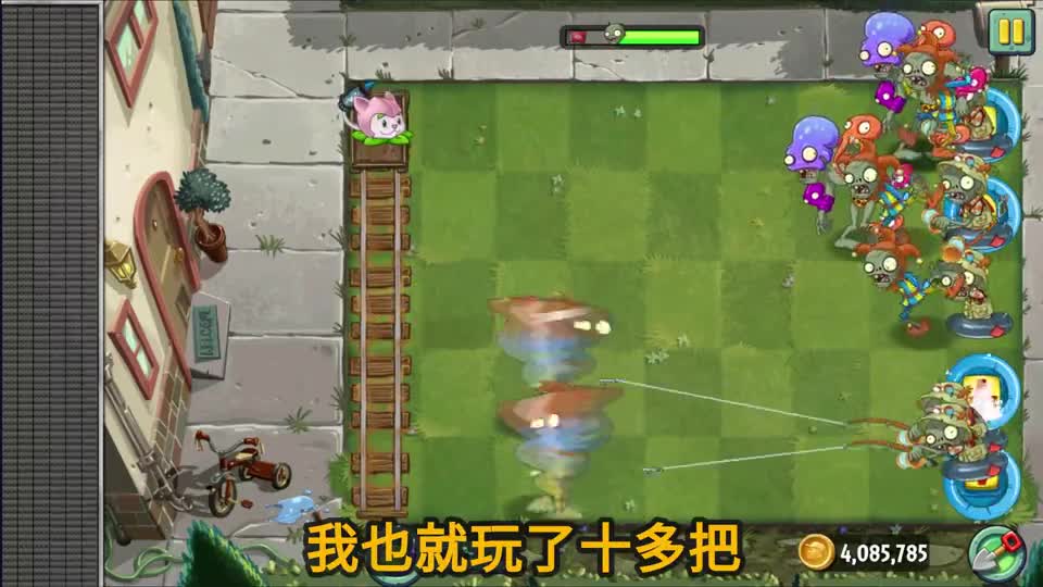 pvz2：小萨的自制关卡，开局一只猫，过关看运气！