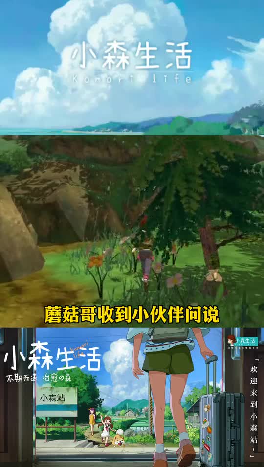 小森生活：神树发光了，快来许个愿吧！