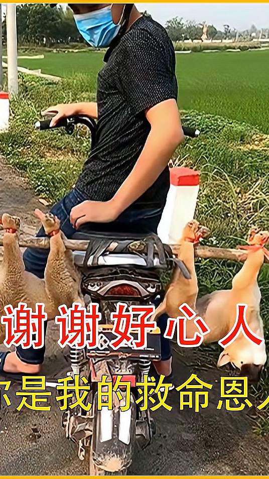 可怜的狗狗还未成年，就要被主人卖去火锅店，幸好小哥出手相救！