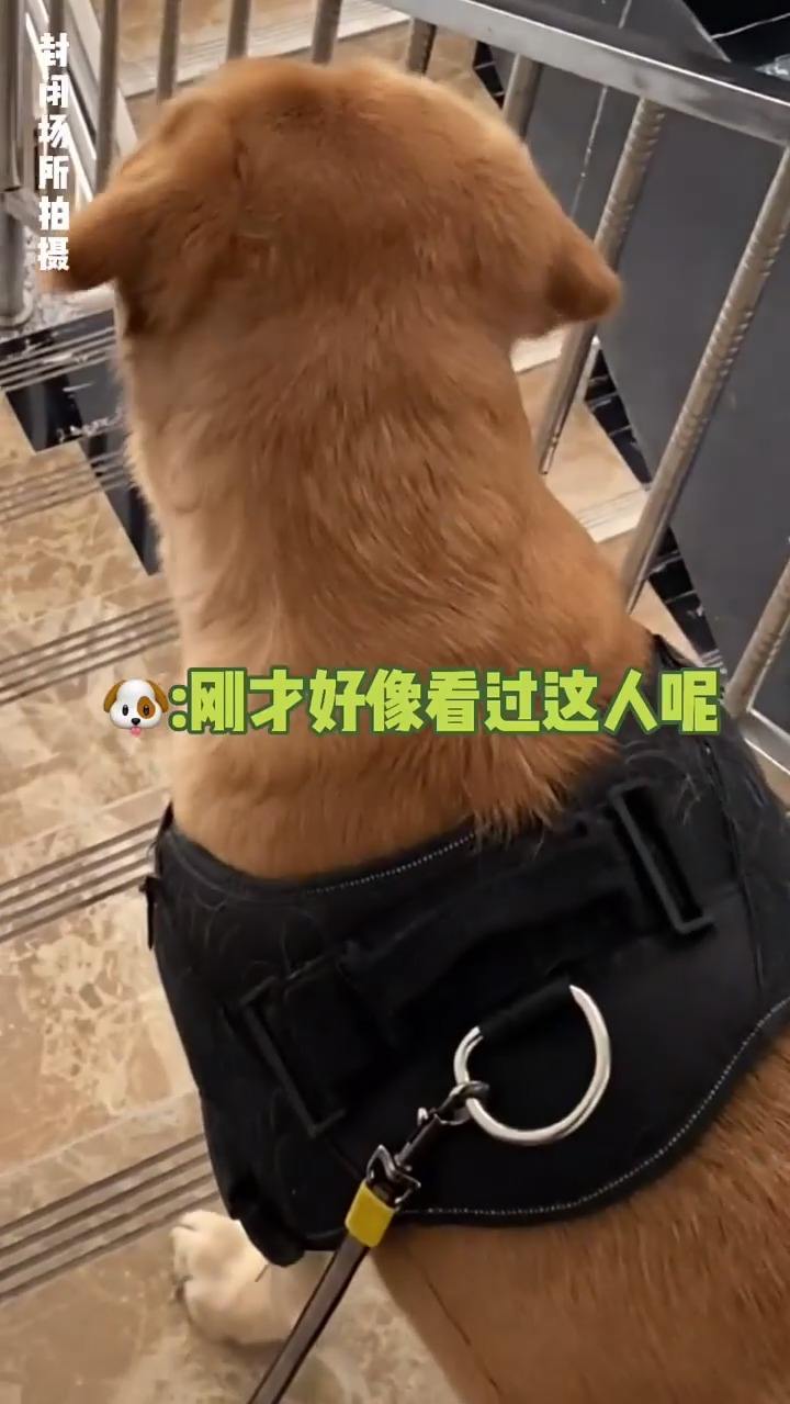 这次玩大了，看到最后吧