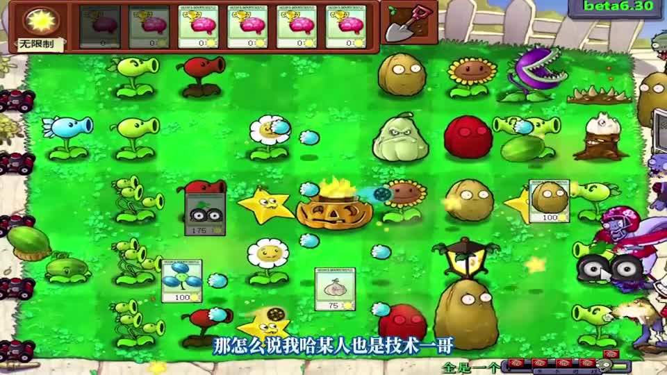 【植物大战僵尸】这是金盏花她哥！