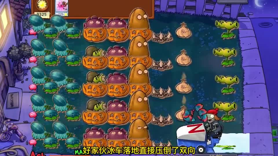 植物大战僵尸：背刺的双向射手！全程受击的随机僵尸！