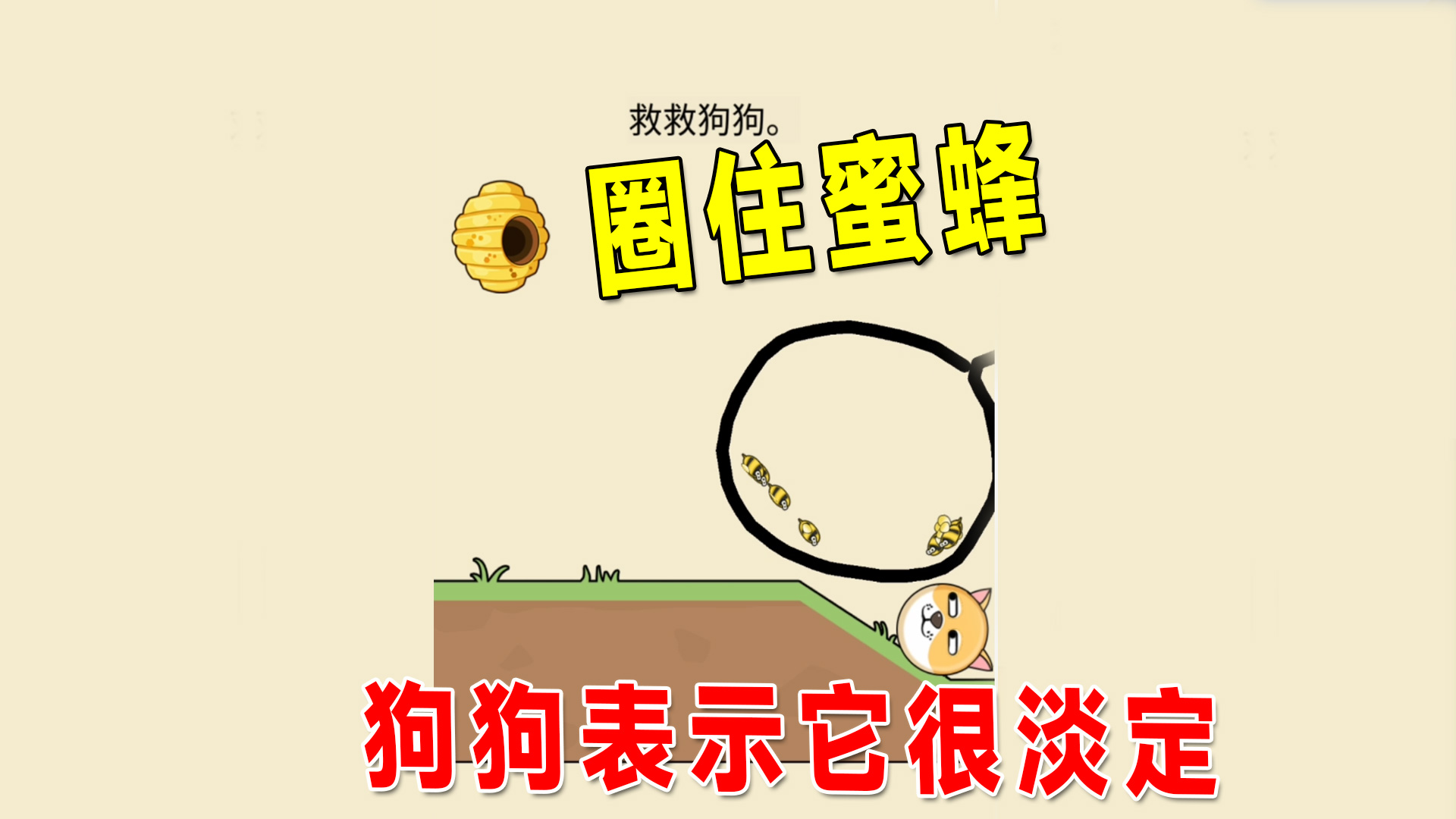 拯救狗狗：画一个圈套住所有的蜜蜂，狗狗表示我很淡定#拯救狗狗