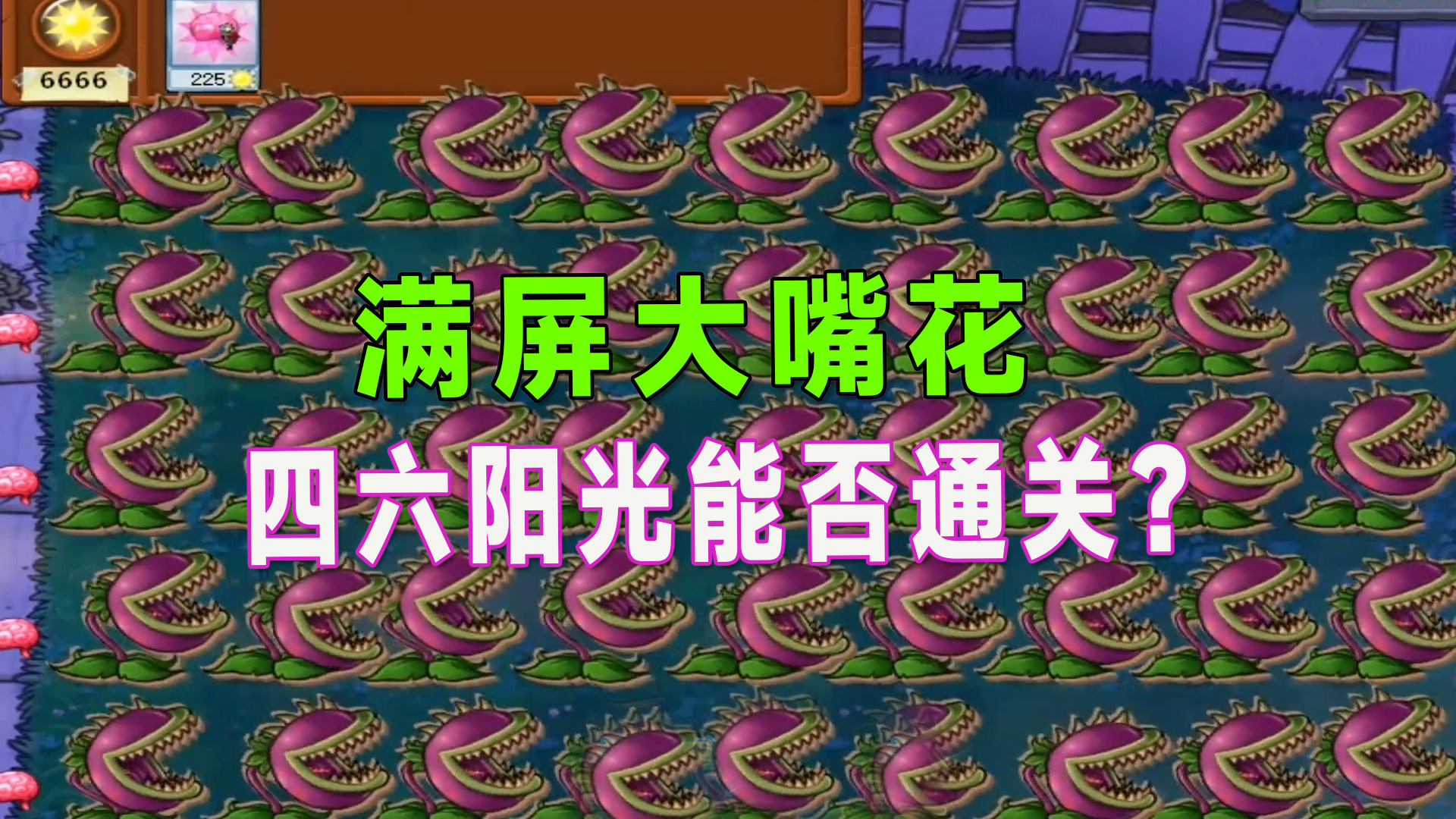 植物大战僵尸：满屏大嘴花，四六阳光能否一次通关？#植物大战僵尸