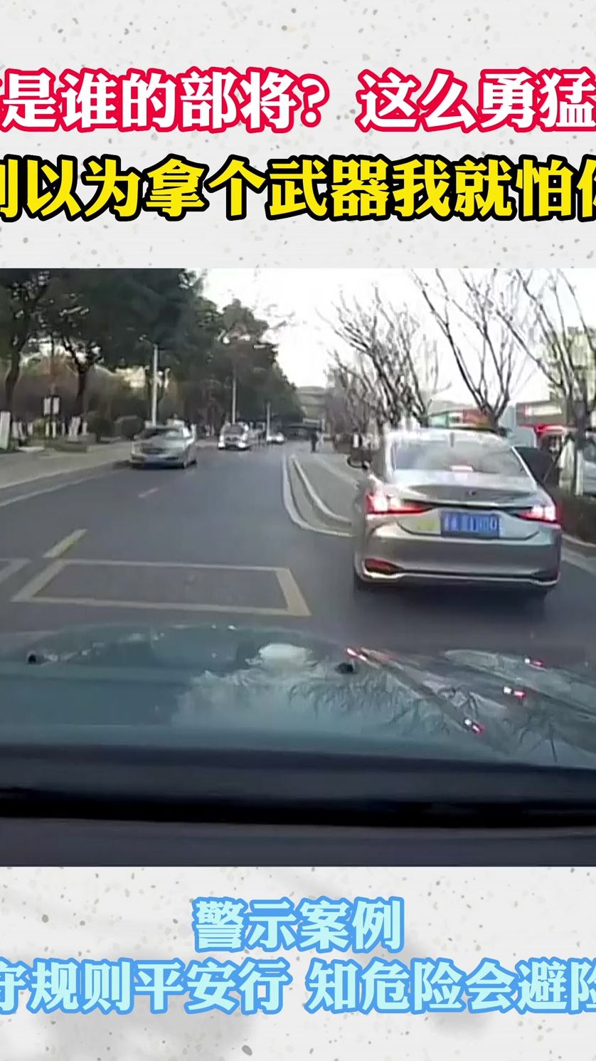 你是谁的部将？这么勇猛！别以为拿个武器我就怕你！