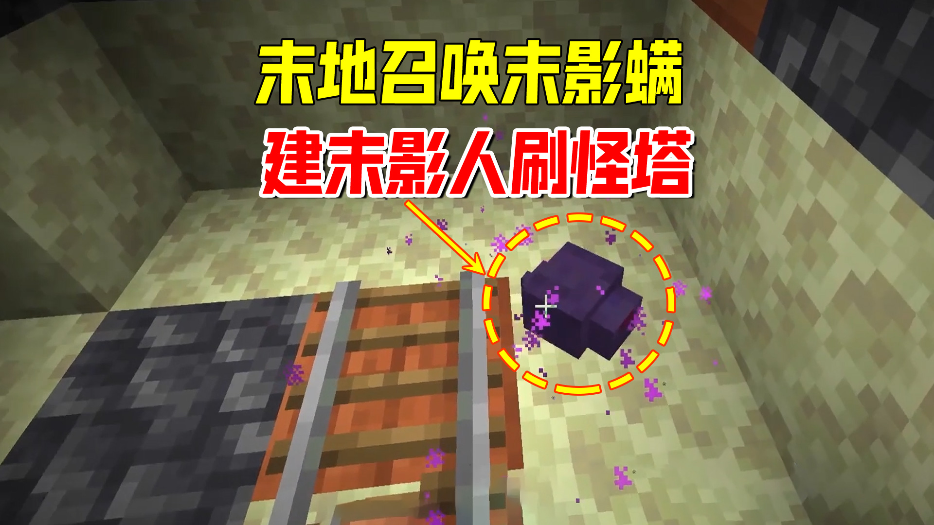 我的世界1.19联机27：我用对称学给末影螨命名，老帅弟弟叫小丑#我的世界#沙盒游戏