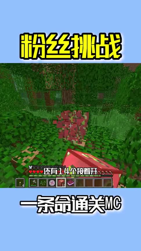 我的世界：粉丝挑战！一条命通关MC？
