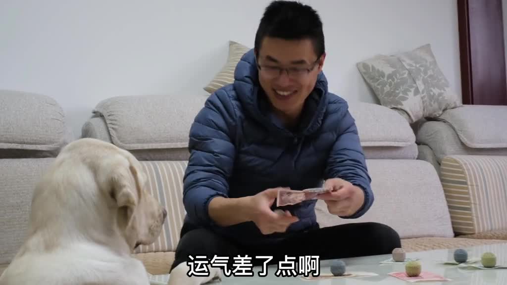 玩玩就急眼