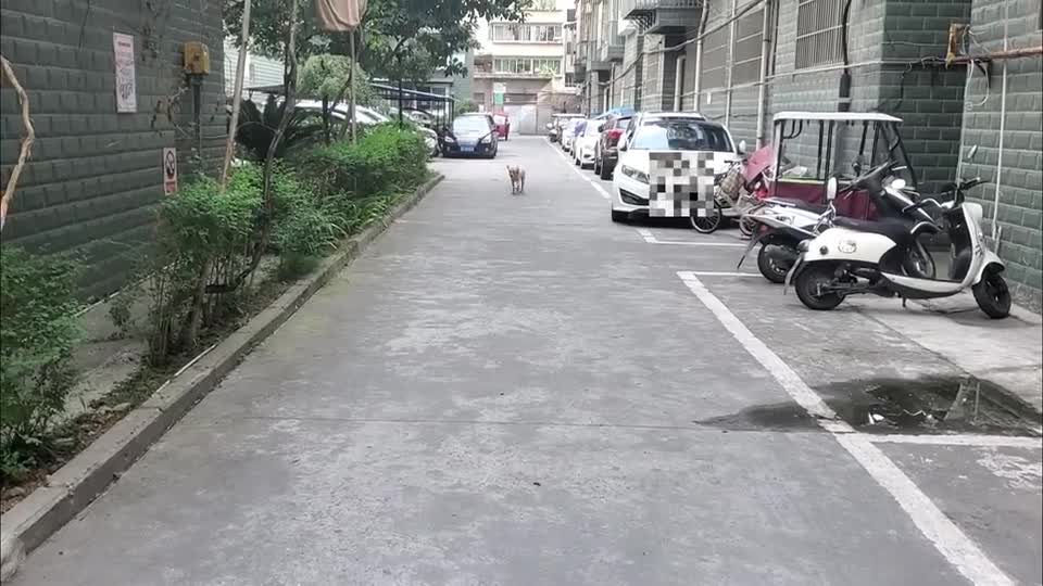 关于金金想要出去玩，我带她一次玩个够这件事
