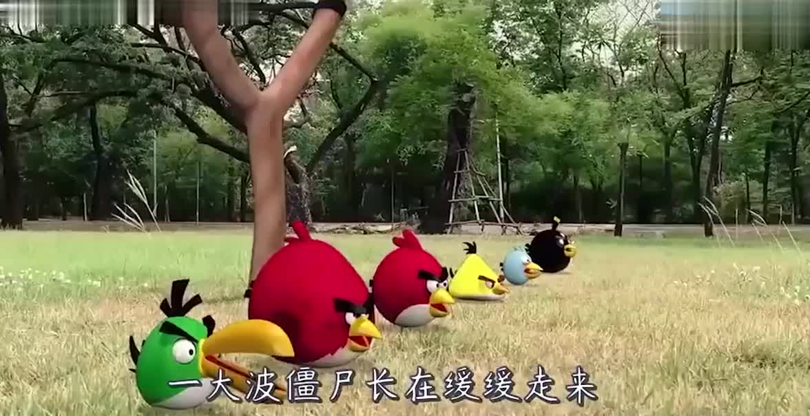 愤怒的小鸟大战僵尸，大嘴鸟疯狂输出，场面相当激烈！