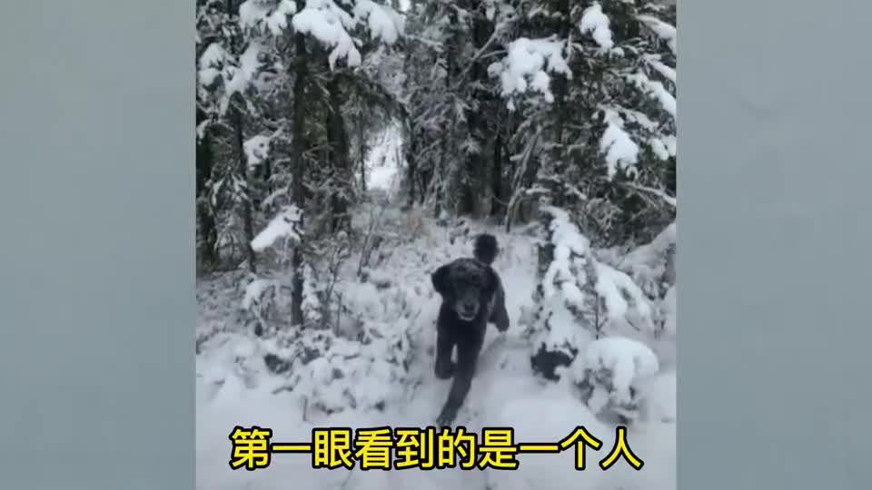 终极眼力挑战，考考你的眼力，看看你能闯过几关