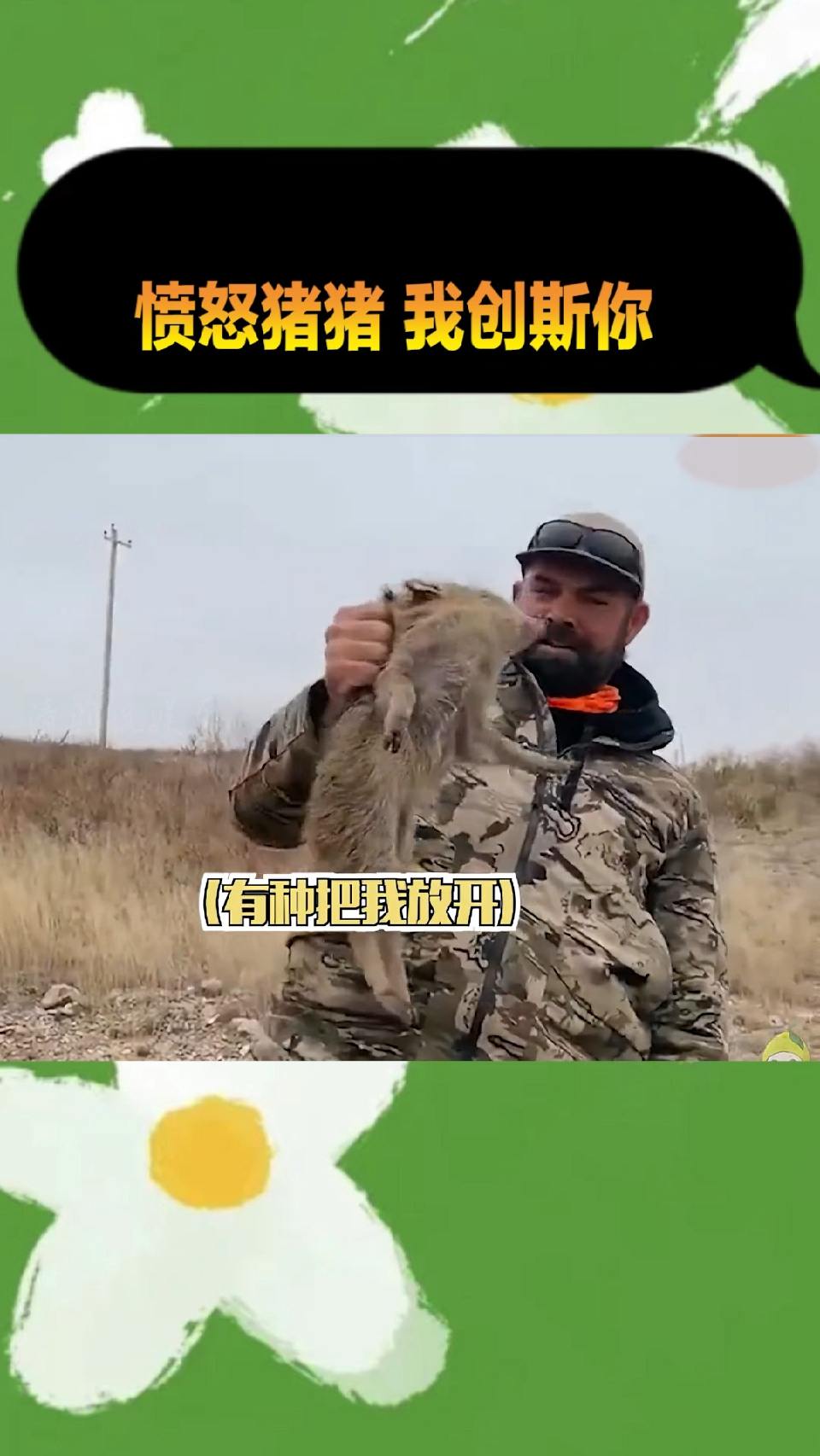 愤怒猪猪：有种你站在这儿别动，我叫我妈来创死你