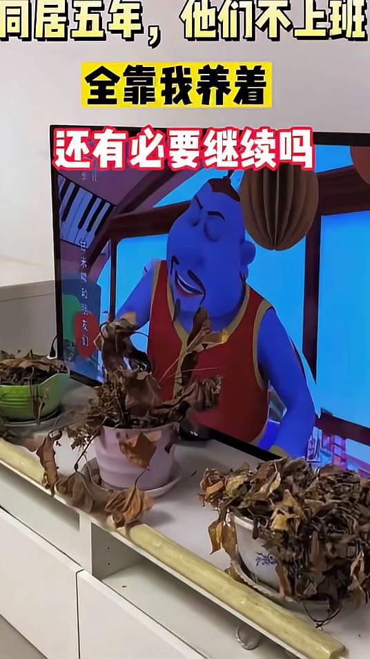 同居5年多，全靠我养，不定时还对我发脾气，还说我欺负他们
