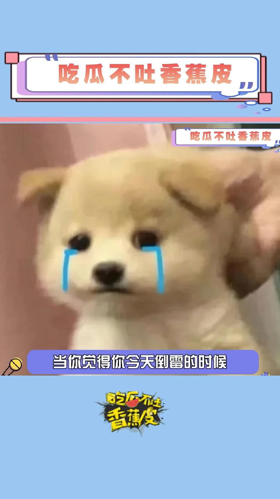 当你觉得你今天倒霉的时候，来看这个视频吧