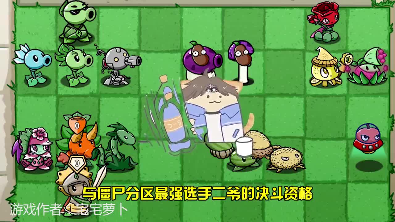 植物大战僵尸：第一届花园格斗大赛，植物分赛区开始了！