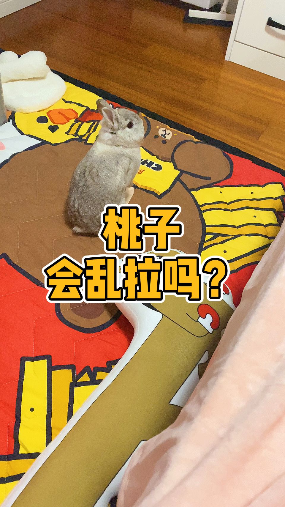 兔子会乱拉吗？拜托他是兔子不是傻子