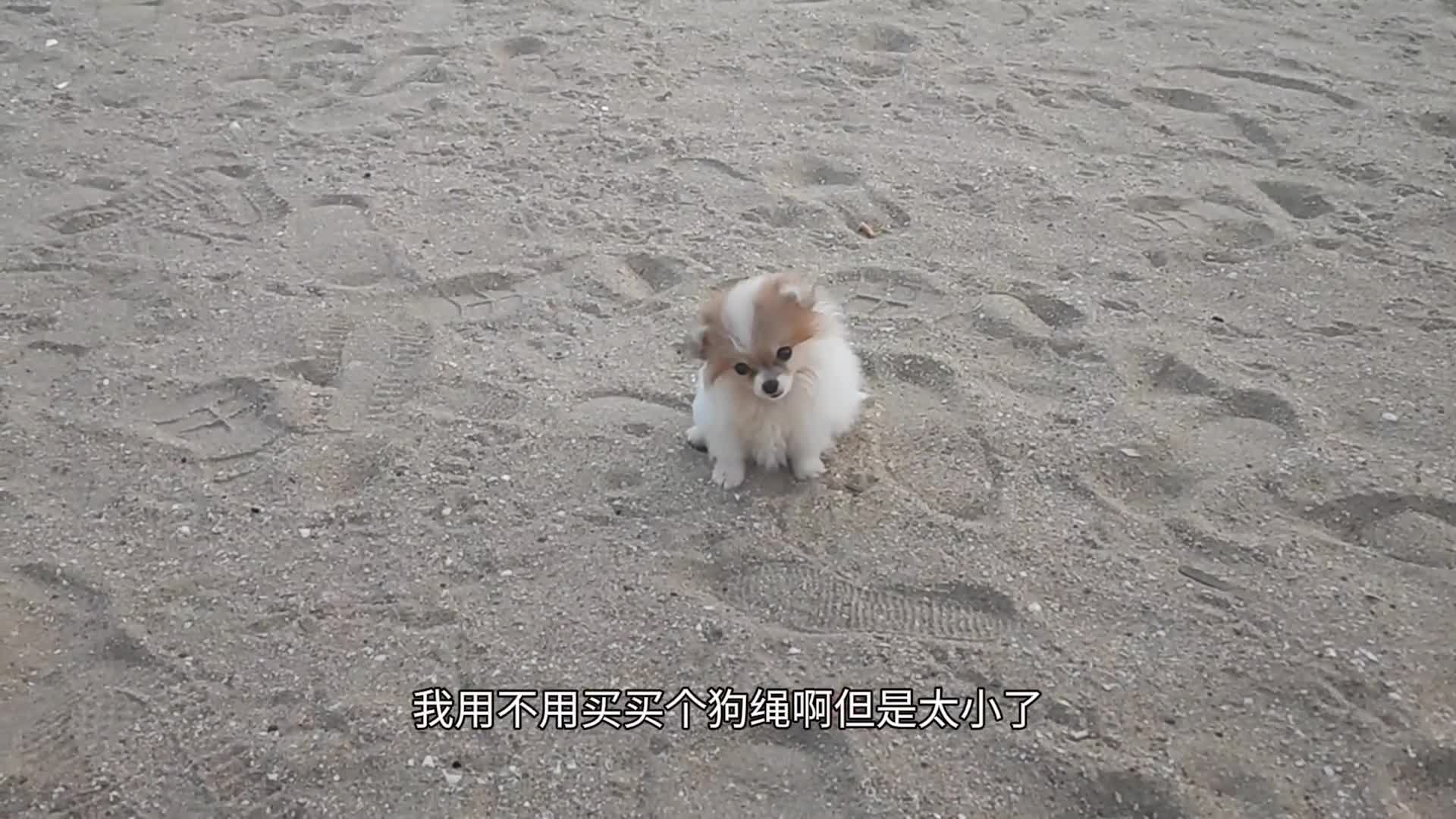 试试我的撩妹神奇好使吗？